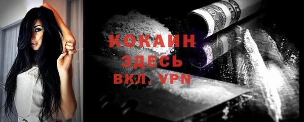 ПСИЛОЦИБИНОВЫЕ ГРИБЫ Туринск