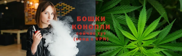 дмт Тында
