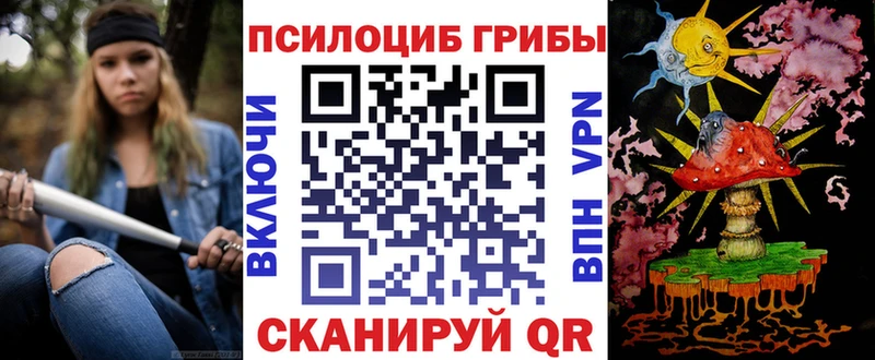 Галлюциногенные грибы Psilocybine cubensis  kraken tor  Кызыл 
