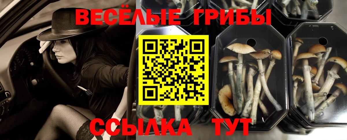 Псилоцибиновые грибы прущие грибы  Вход с VPN  Кызыл 
