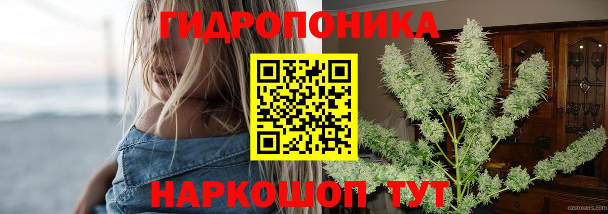 Шишки марихуана Ganja  Каннабис семена  Канабис ГИДРОПОН  Кызыл  Вход с VPN  Бошки Шишки SATIVA & INDICA 